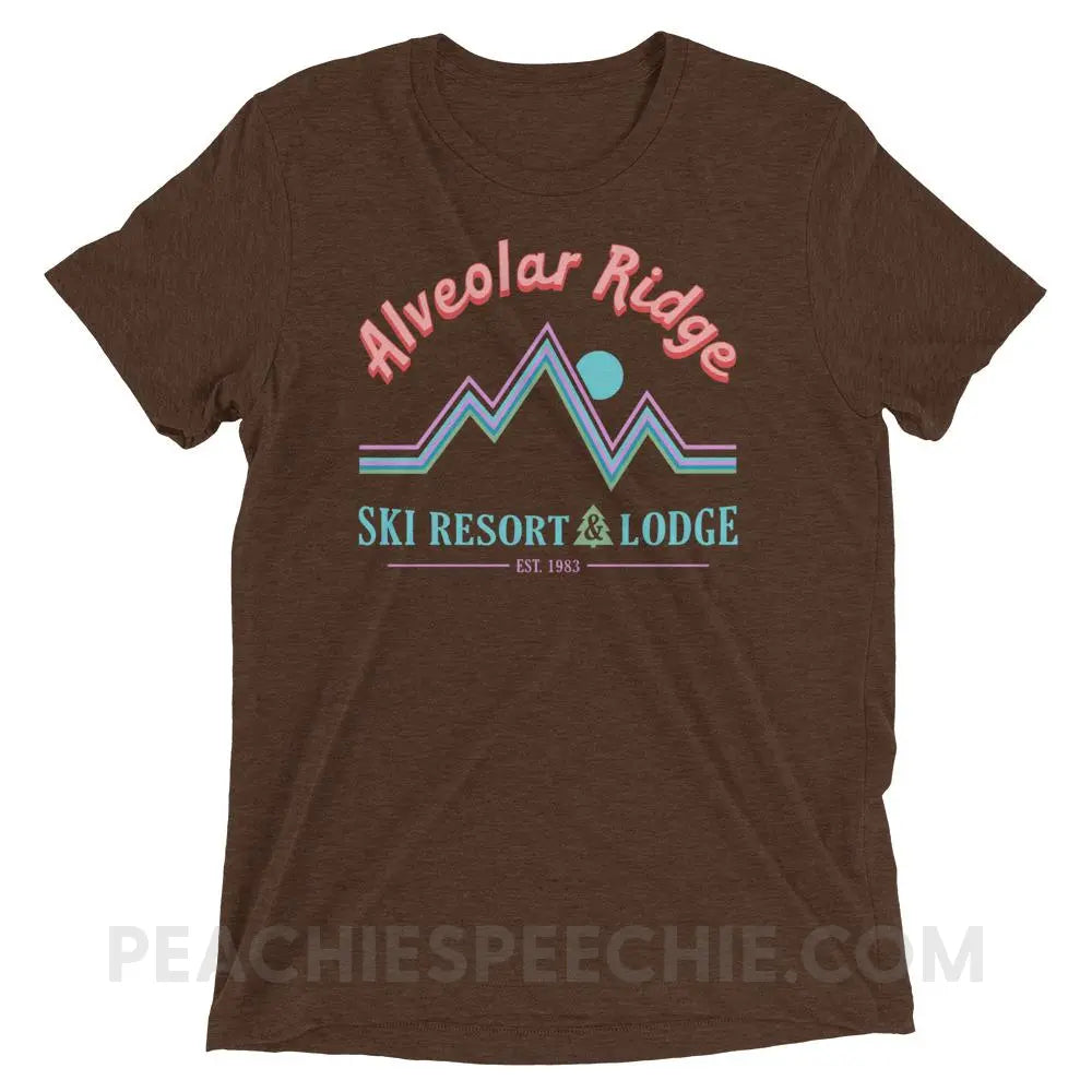 Alveolar Ridge Ski Resort & Lodge Tri-Blend Tee - Brown Triblend / XS - peachiespeechie.com