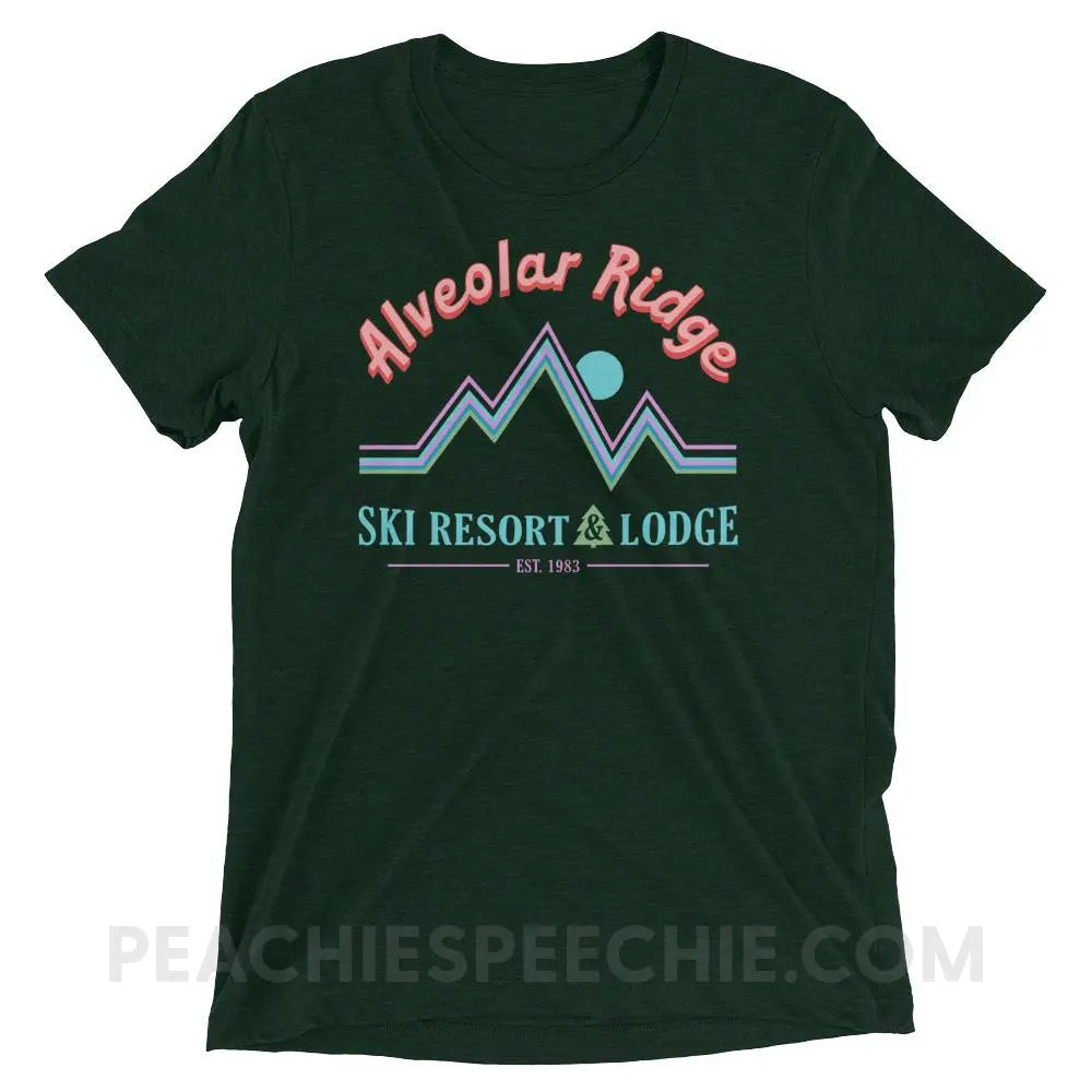 Alveolar Ridge Ski Resort & Lodge Tri-Blend Tee - Emerald Triblend / XS - peachiespeechie.com