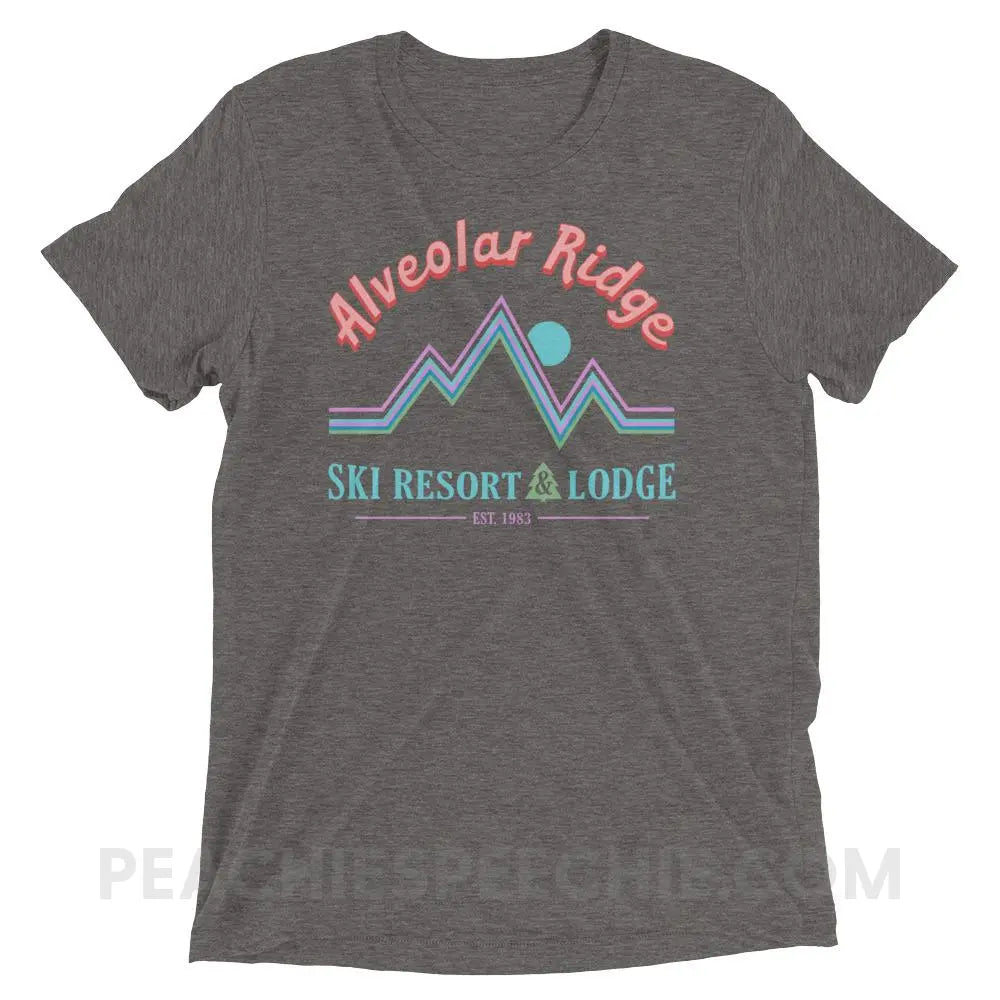 Alveolar Ridge Ski Resort & Lodge Tri-Blend Tee - Grey Triblend / XS - peachiespeechie.com