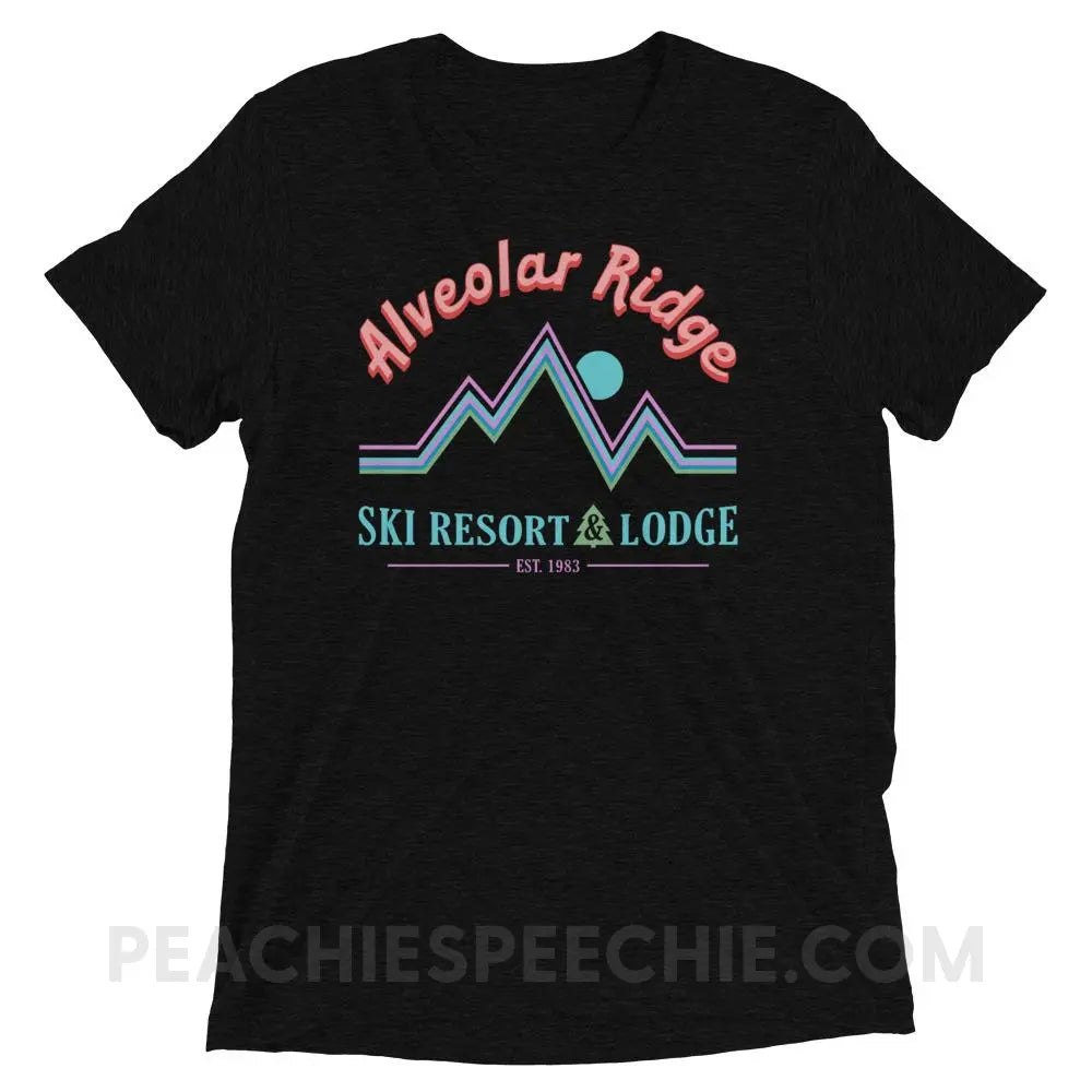 Alveolar Ridge Ski Resort & Lodge Tri - Blend Tee - Solid Black Triblend / XS - peachiespeechie.com