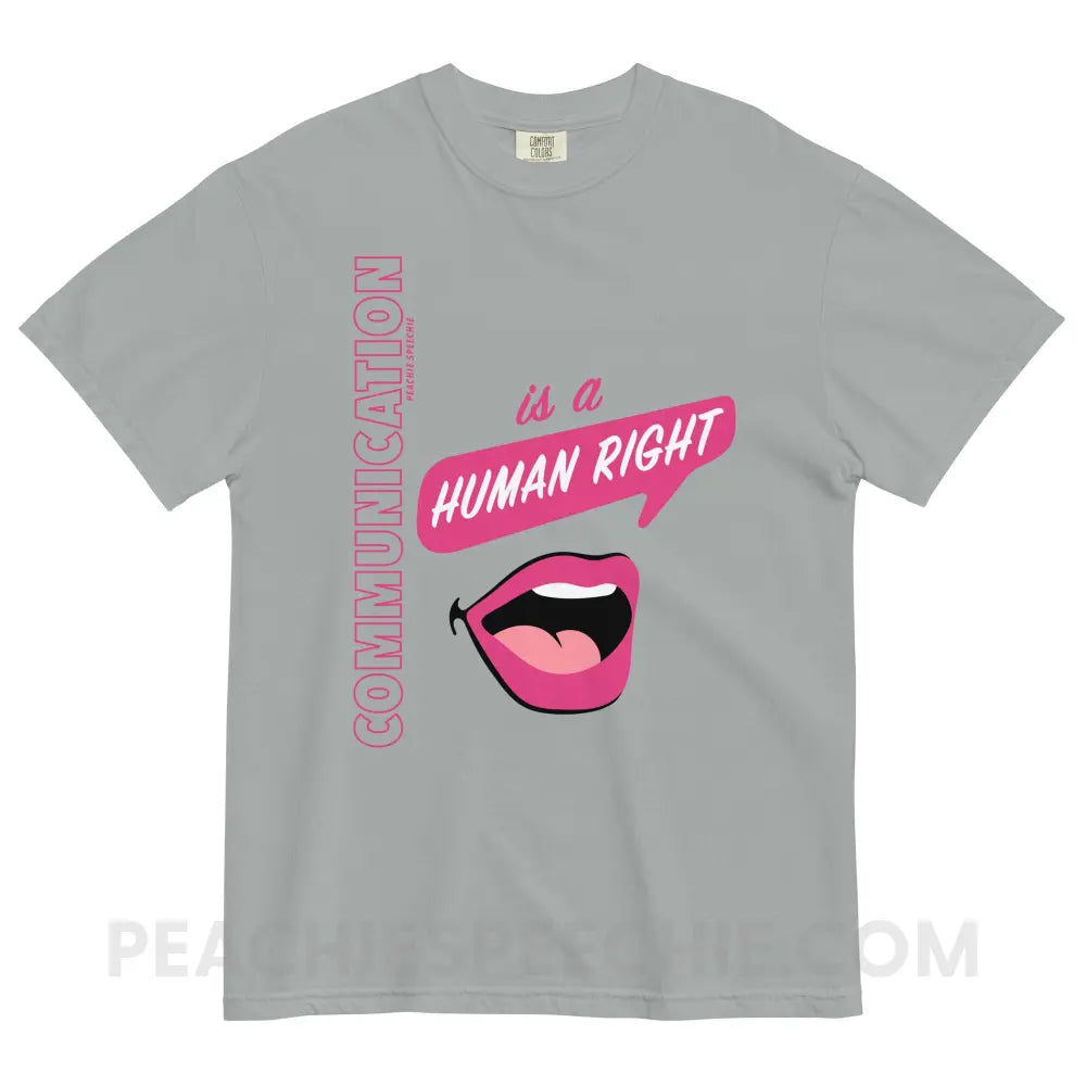 Communication Is A Human Right Comfort Colors Tee - Granite / S - peachiespeechie.com