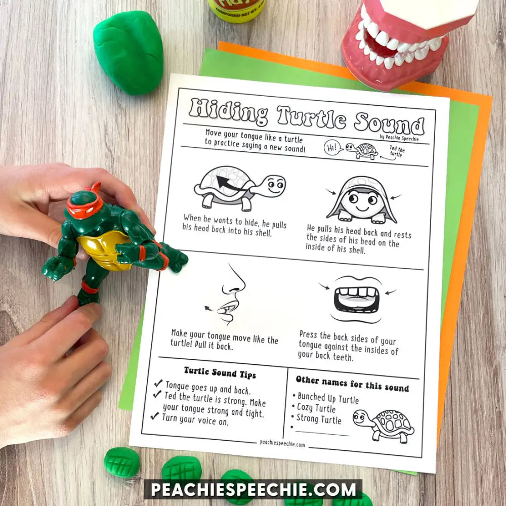 Hiding Turtle Sound - Reframe The R - Materials - peachiespeechie.com