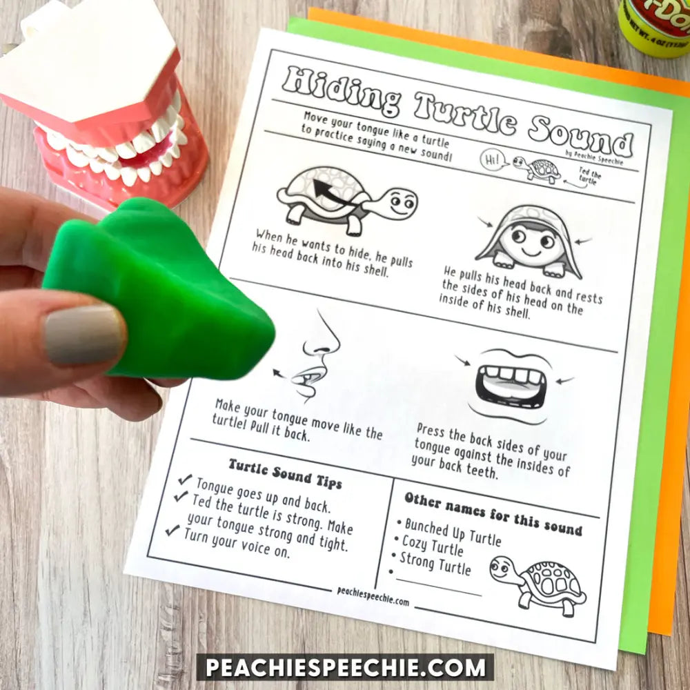 Hiding Turtle Sound - Reframe The R - Materials - peachiespeechie.com