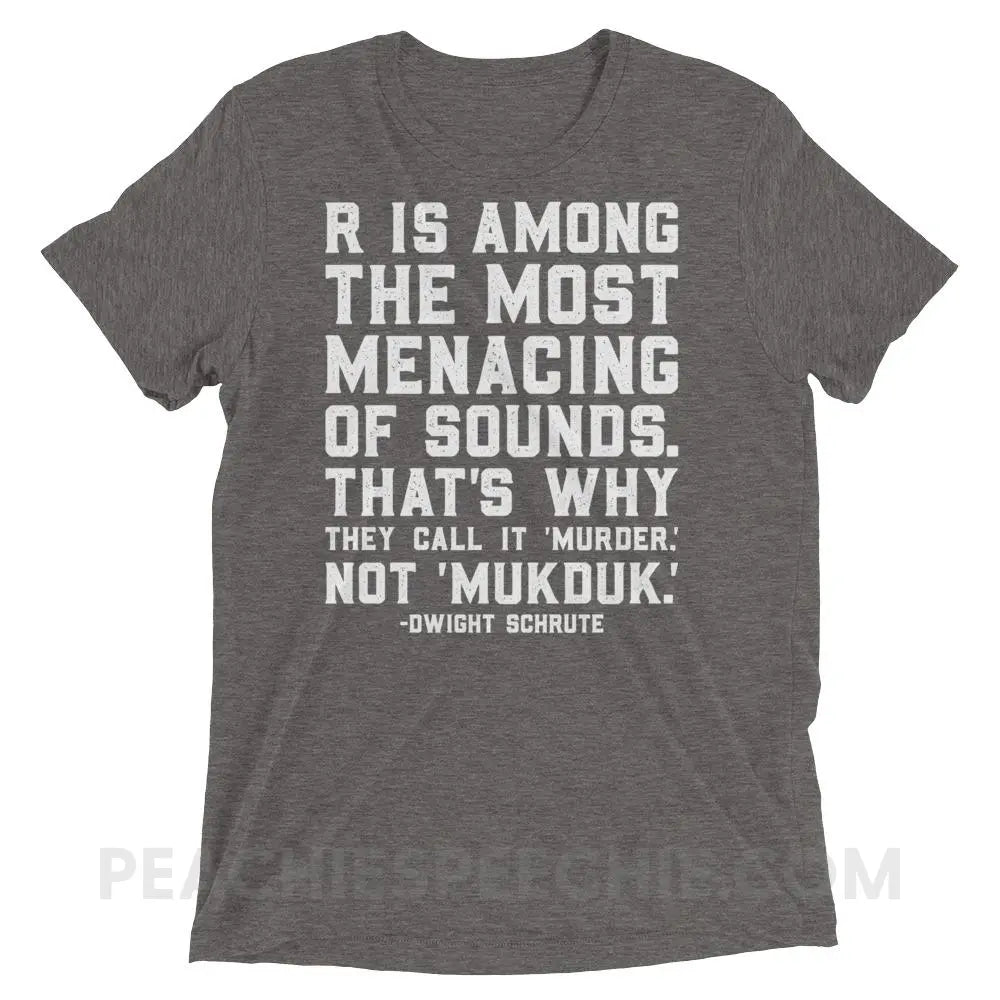 Menacing R Dwight Quote Tri-Blend Tee - Grey Triblend / XS - T-Shirts & Tops peachiespeechie.com