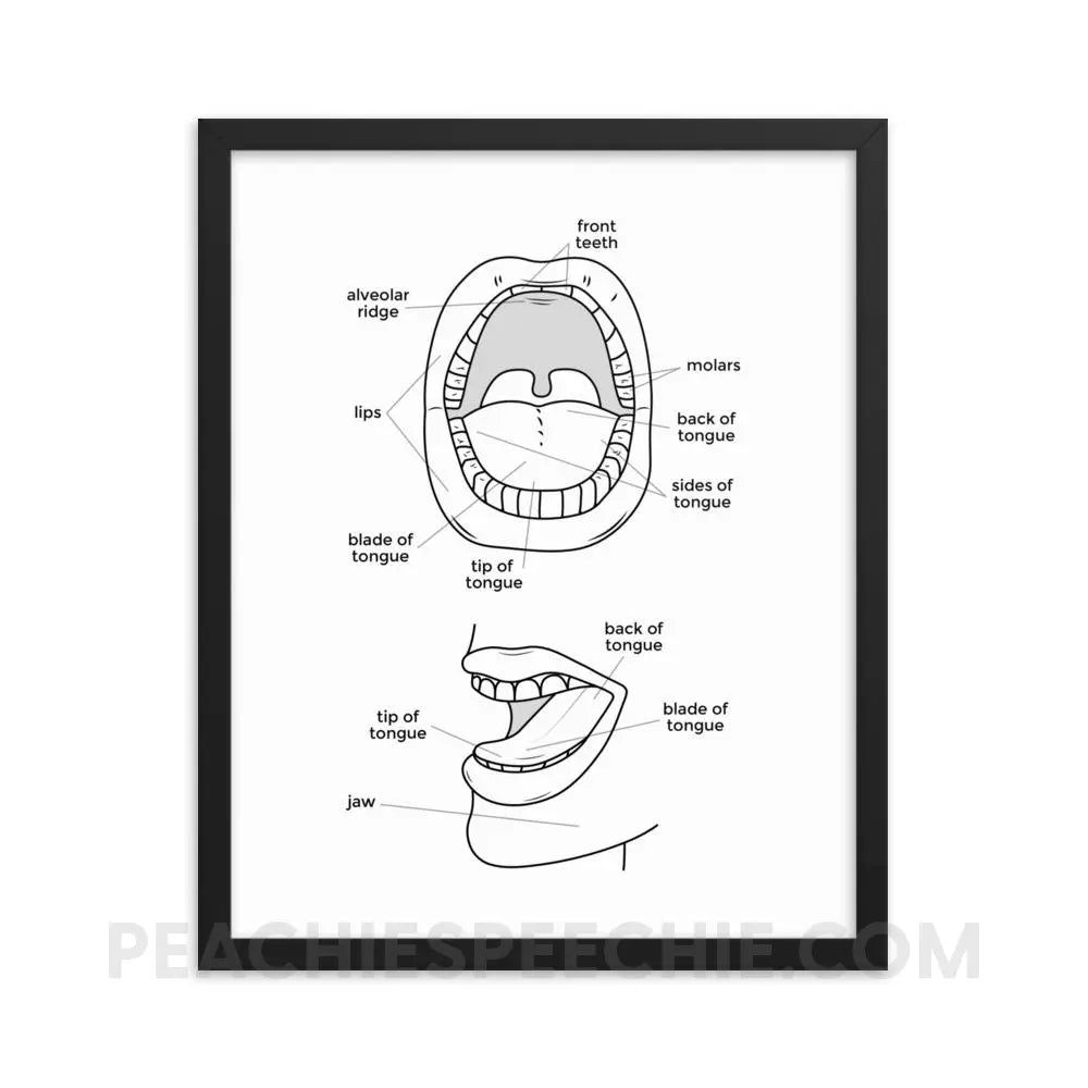 Mouth Anatomy Framed Poster - 16×20 - Posters peachiespeechie.com