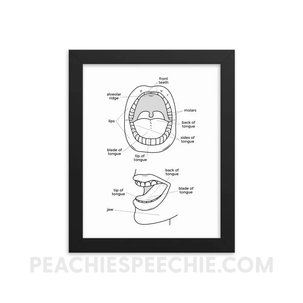 Mouth Anatomy Framed Poster - 8×10 - Posters peachiespeechie.com