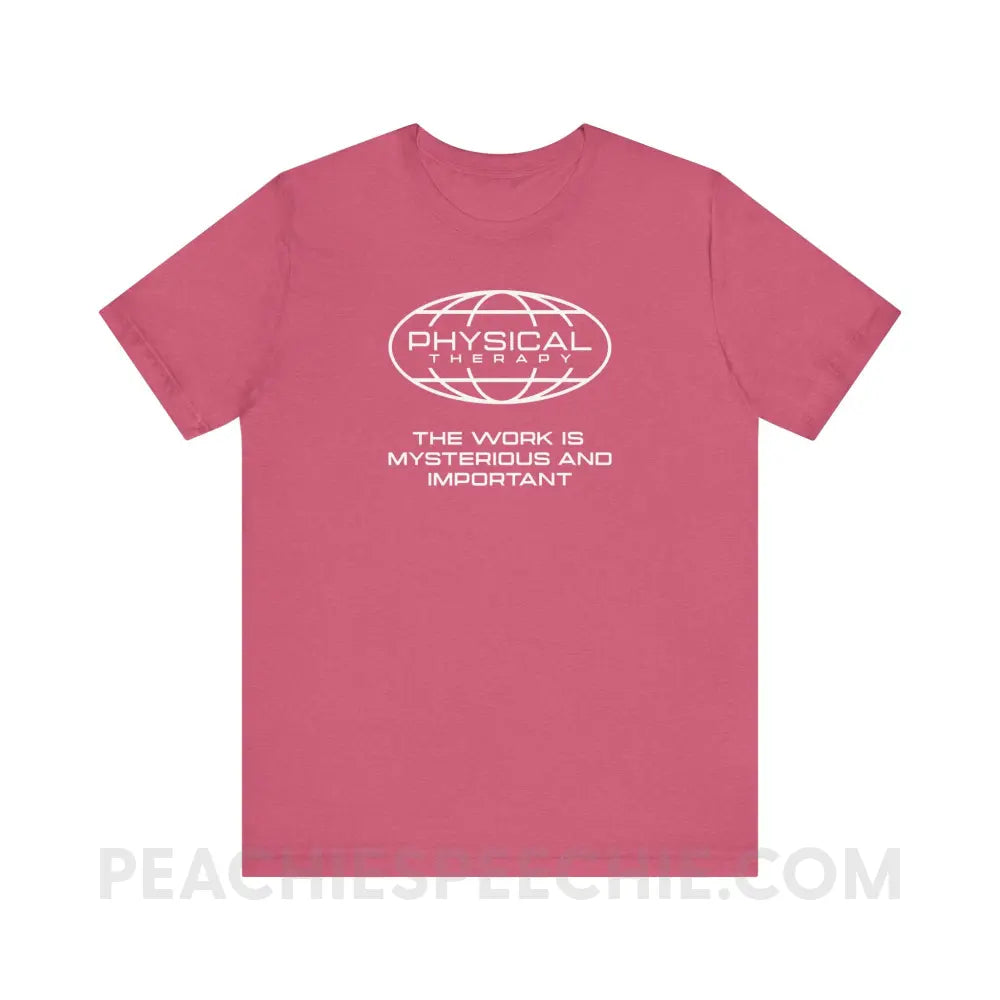 PT Is Mysterious And Important Premium Soft Tee - Heather Raspberry / XS - T-Shirt peachiespeechie.com