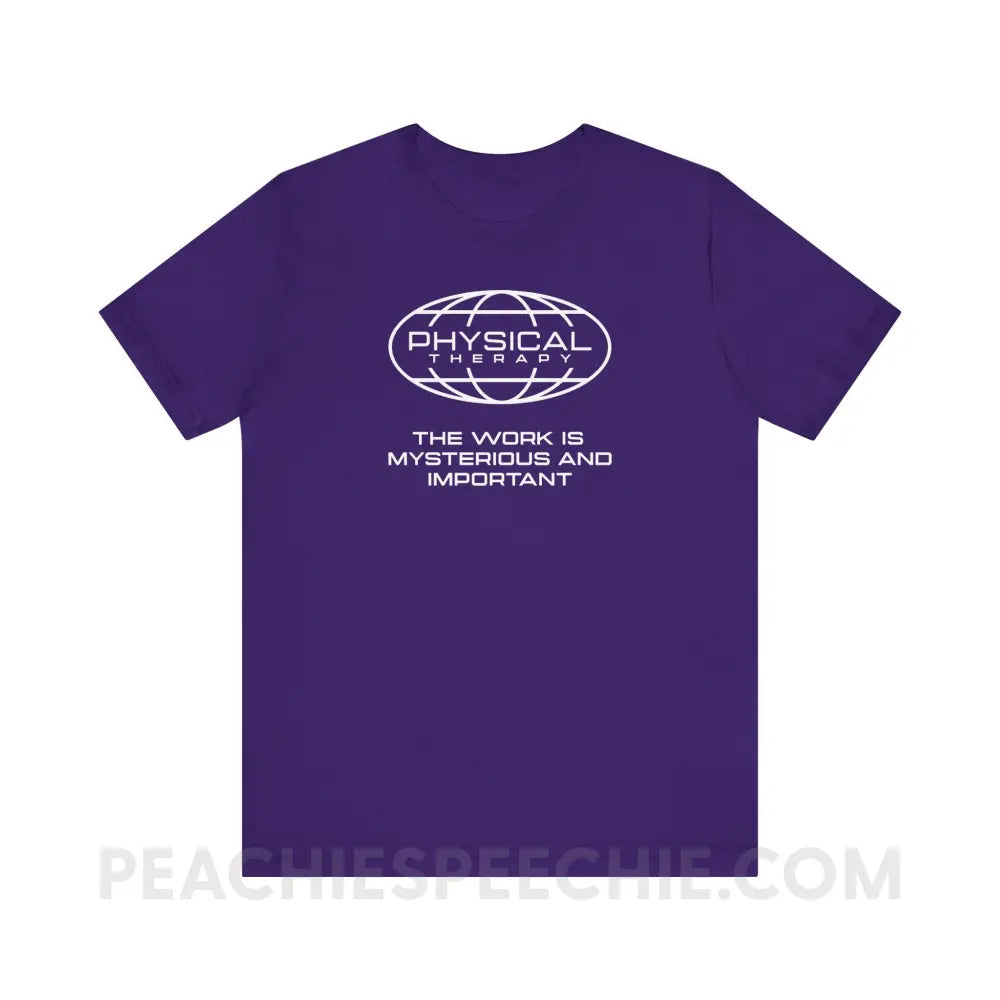 PT Is Mysterious And Important Premium Soft Tee - Team Purple / XS - T-Shirt peachiespeechie.com