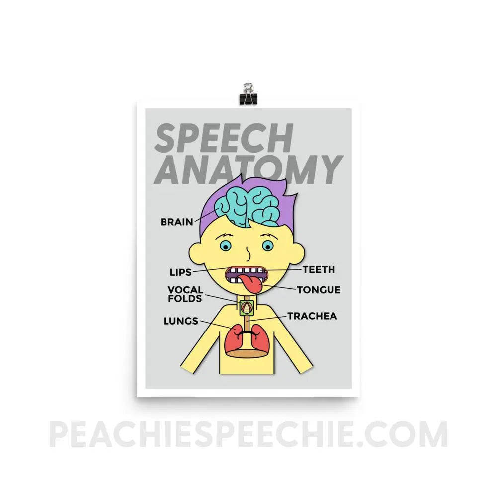 Speech Anatomy Poster - 12×16 - Posters peachiespeechie.com