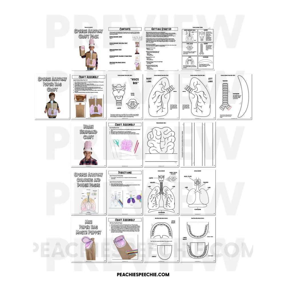 Speech Anatomy Craft Pack - Materials peachiespeechie.com