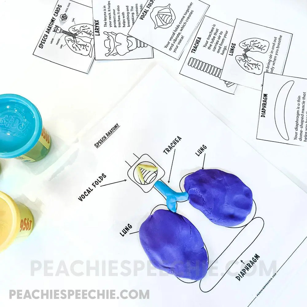 Speech Anatomy Craft Pack - Materials peachiespeechie.com