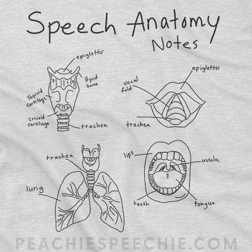 Speech Anatomy Notes