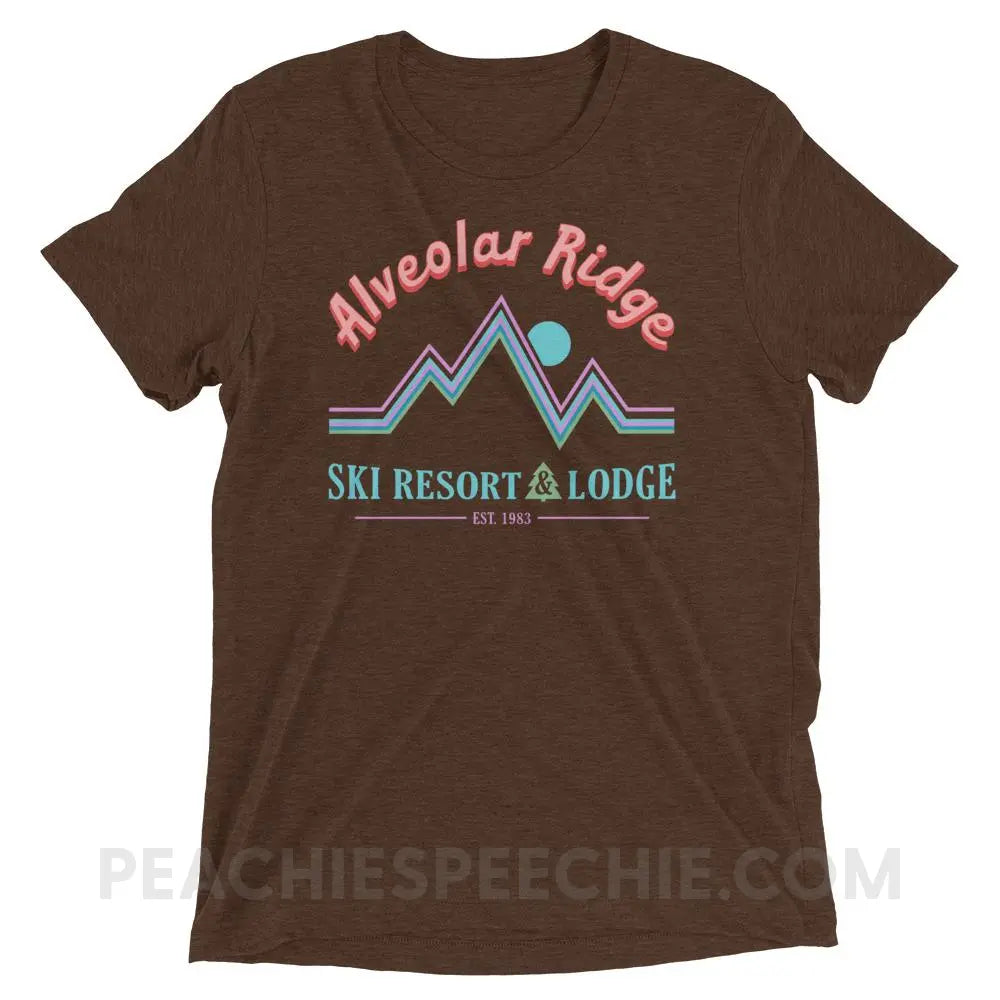 Alveolar Ridge Ski Resort & Lodge Tri-Blend Tee - Brown Triblend / XS peachiespeechie.com
