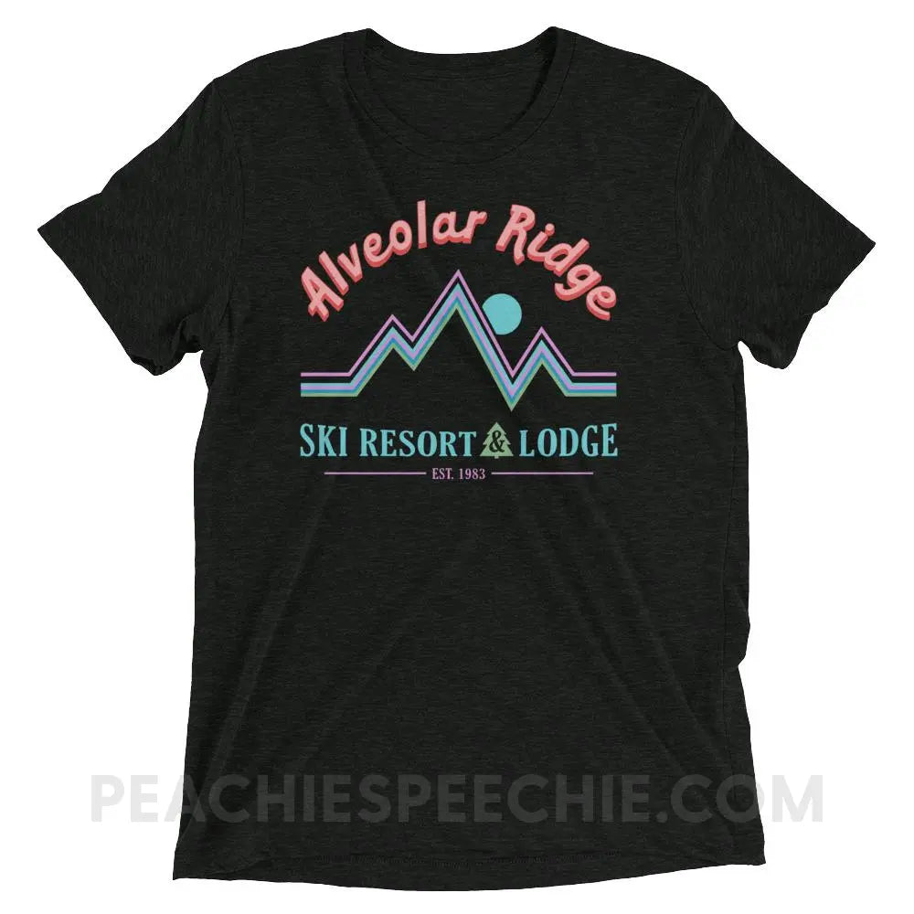 Alveolar Ridge Ski Resort & Lodge Tri-Blend Tee - Charcoal-Black Triblend / XS - peachiespeechie.com