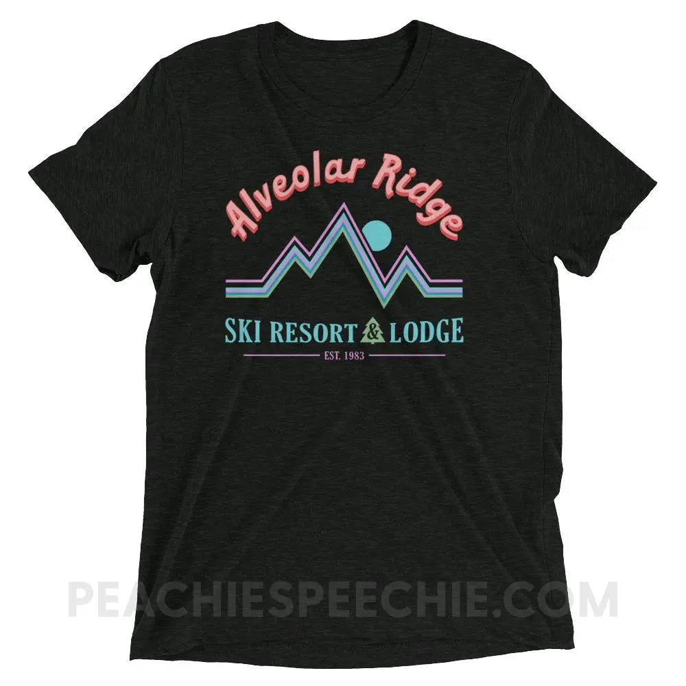 Alveolar Ridge Ski Resort & Lodge Tri-Blend Tee - Charcoal-Black Triblend / XS peachiespeechie.com