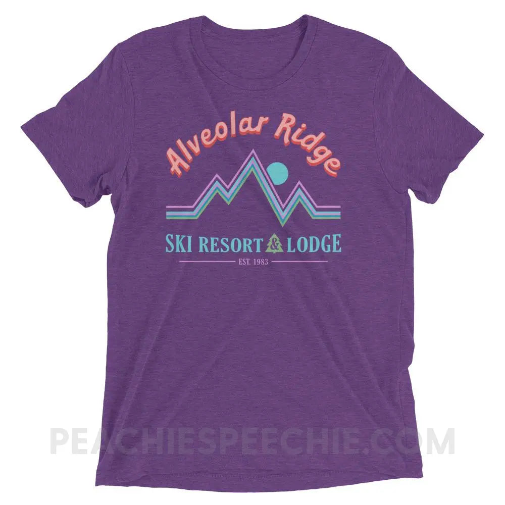 Alveolar Ridge Ski Resort & Lodge Tri - Blend Tee - Purple Triblend / XS - peachiespeechie.com