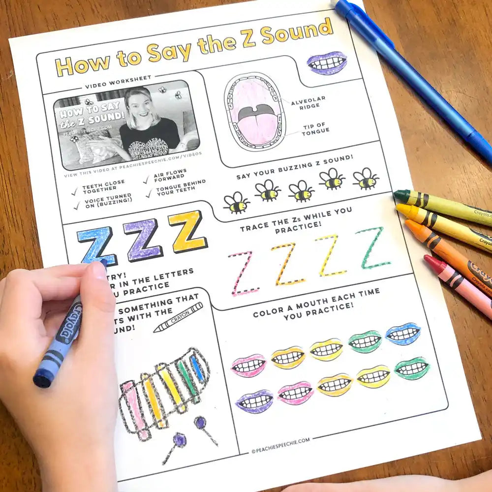 Educational worksheet teaching children how to pronounce and write the letter Z sound.