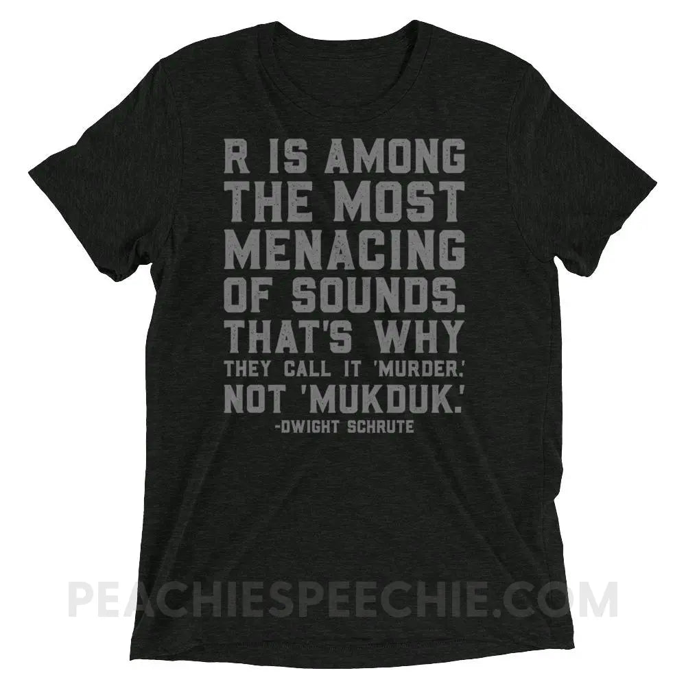 Menacing R Dwight Quote Tri-Blend Tee - Charcoal-Black Triblend / XS - T-Shirts & Tops peachiespeechie.com