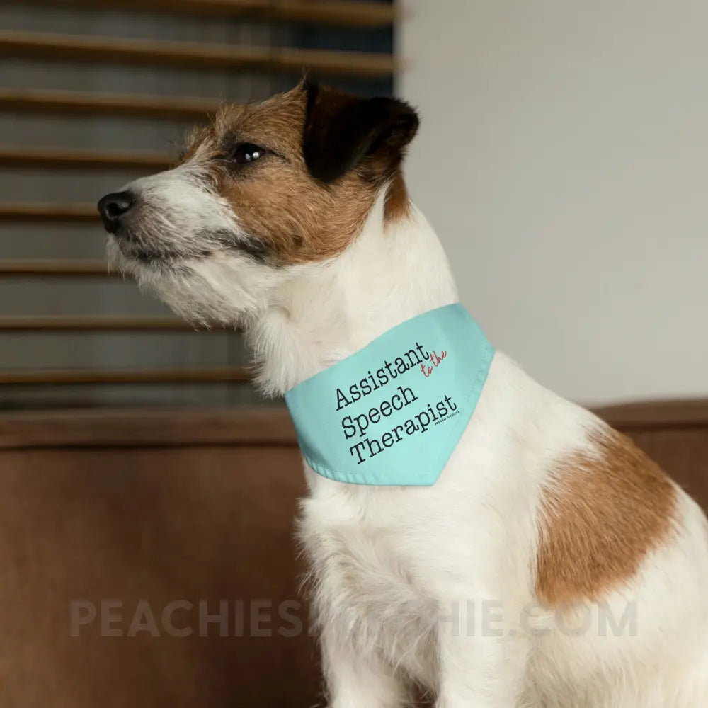 The Office Assistant (to the) Speech Language Pathologist Pet Bandana Collar - Pets peachiespeechie.com