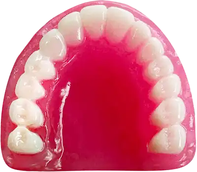 Pink dental prosthesis showing an upper arch of white teeth.