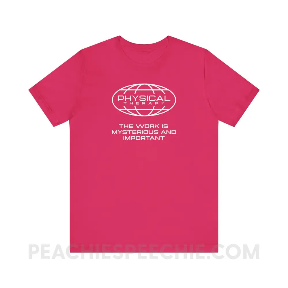 PT Is Mysterious And Important Premium Soft Tee - Fuchsia / XS - T-Shirt peachiespeechie.com