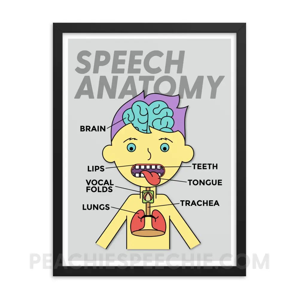 Speech Anatomy Framed Poster - 18×24 - Posters peachiespeechie.com