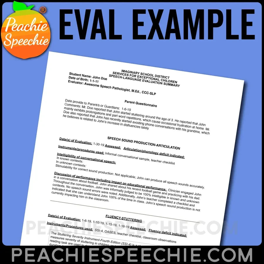 Evaluation Report Example - Materials peachiespeechie.com