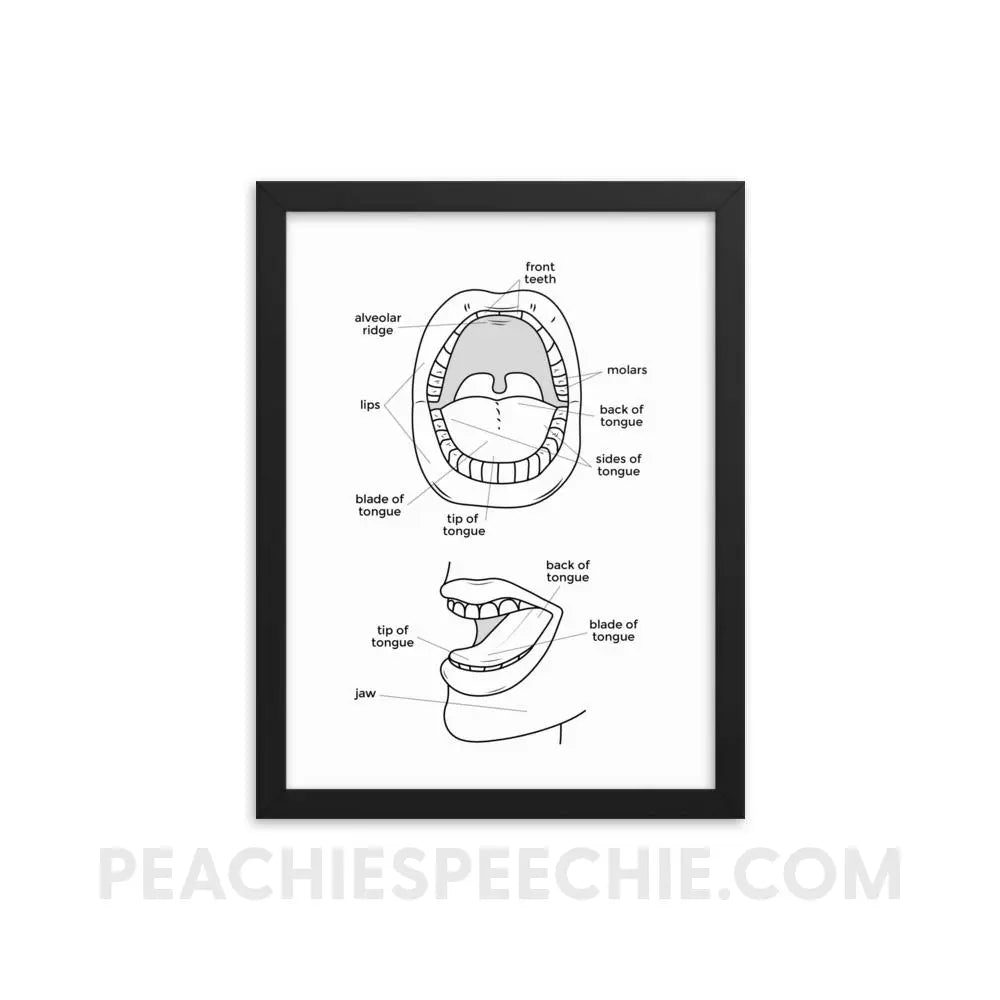 Mouth Anatomy Framed Poster - 12×16 - Posters peachiespeechie.com