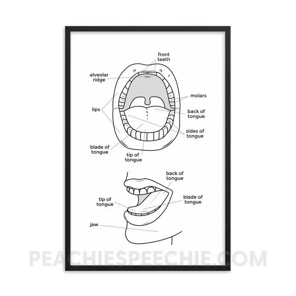 Mouth Anatomy Framed Poster - 24×36 - Posters peachiespeechie.com
