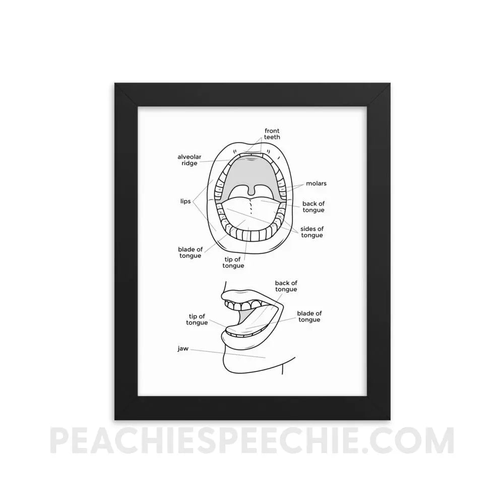 Mouth Anatomy Framed Poster - 8×10 - Posters peachiespeechie.com