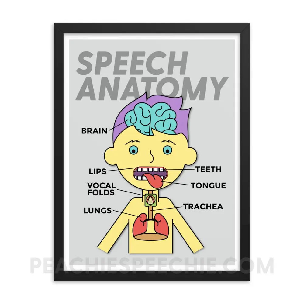 Speech Anatomy Framed Poster - 18×24 - Posters peachiespeechie.com