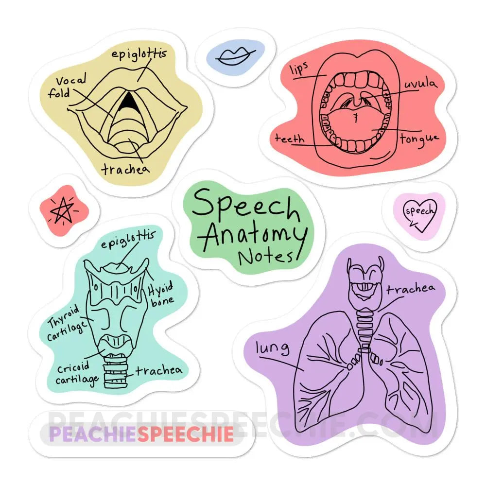 Speech Anatomy Notes Stickers - peachiespeechie.com